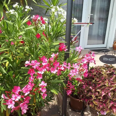 Harmath Vendeghaz 度假居 巴拉顿扎佐