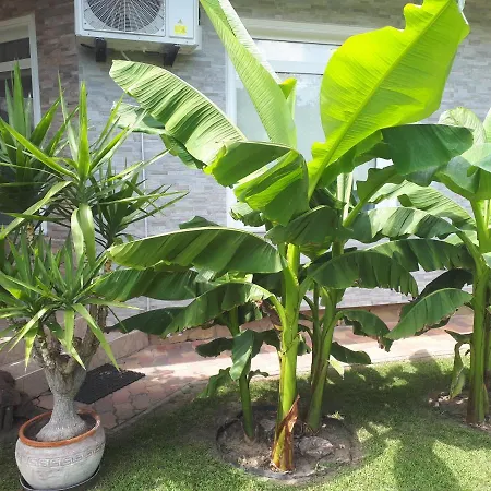 度假居 Harmath Vendeghaz