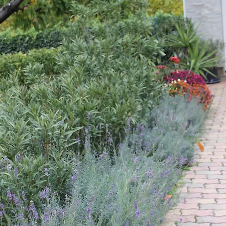 Дом отдыха Harmath Vendeghaz *