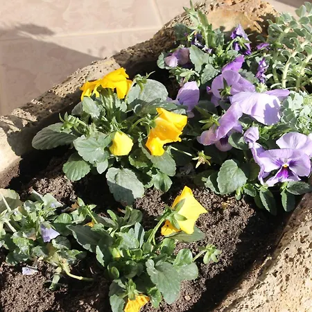 Дом отдыха Harmath Vendeghaz