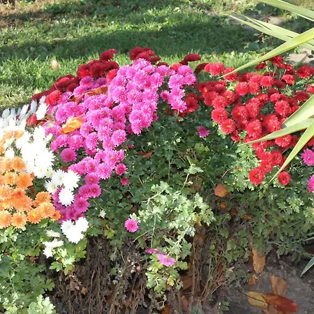 Harmath Vendeghaz Σπίτι διακοπών Balatonszarszo