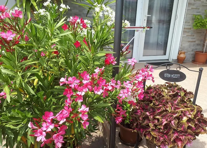 Harmath Vendeghaz Semesterbostad Balatonszarszo