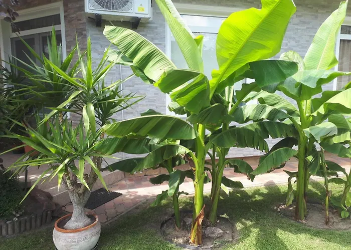 Semesterbostad Harmath Vendeghaz