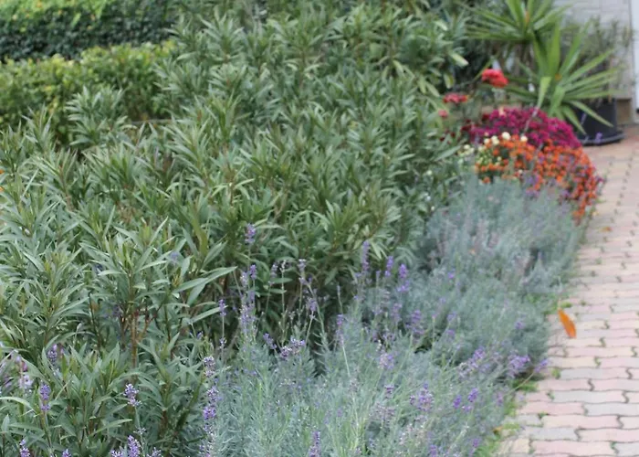 Casa vacanze Harmath *