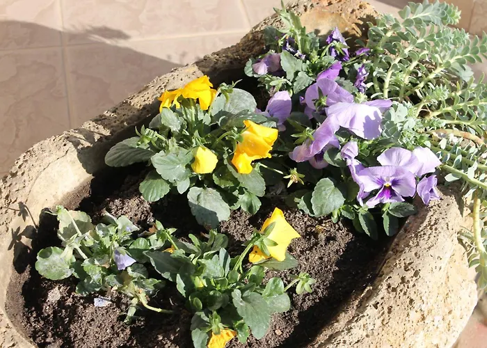 Semesterbostad Harmath Vendeghaz