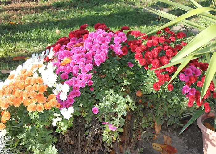 Harmath Vendeghaz Semesterbostad Balatonszarszo